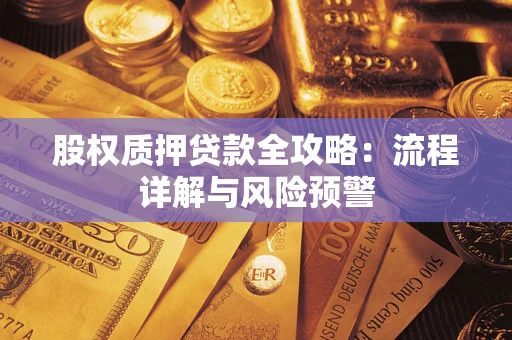 武汉股权质押贷款全攻略：流程详解与风险预警