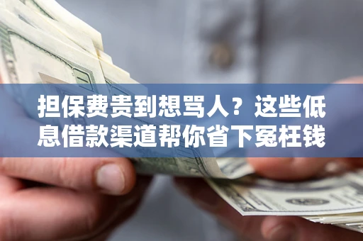 武汉担保费贵到想骂人？这些低息借款渠道帮你省下冤枉钱