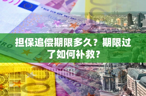 武汉担保追偿期限多久？期限过了如何补救？