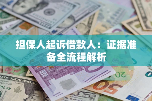 武汉担保人起诉借款人：证据准备全流程解析