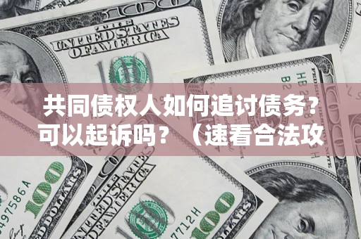 武汉共同债权人如何追讨债务？可以起诉吗？（速看合法攻略）