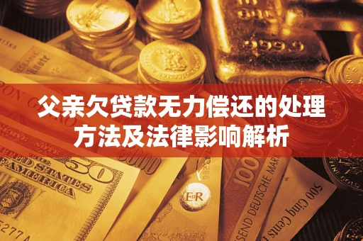 武汉父亲欠贷款无力偿还的处理方法及法律影响解析