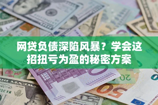 武汉网贷负债深陷风暴？学会这招扭亏为盈的秘密方案