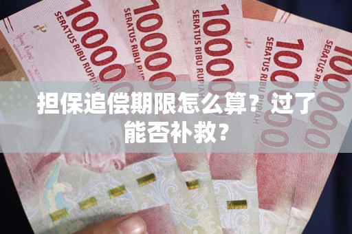 武汉担保追偿期限怎么算？过了能否补救？